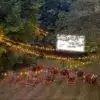 Outdoor Cinema Package - Image 9