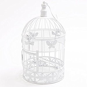 birdcage hire london